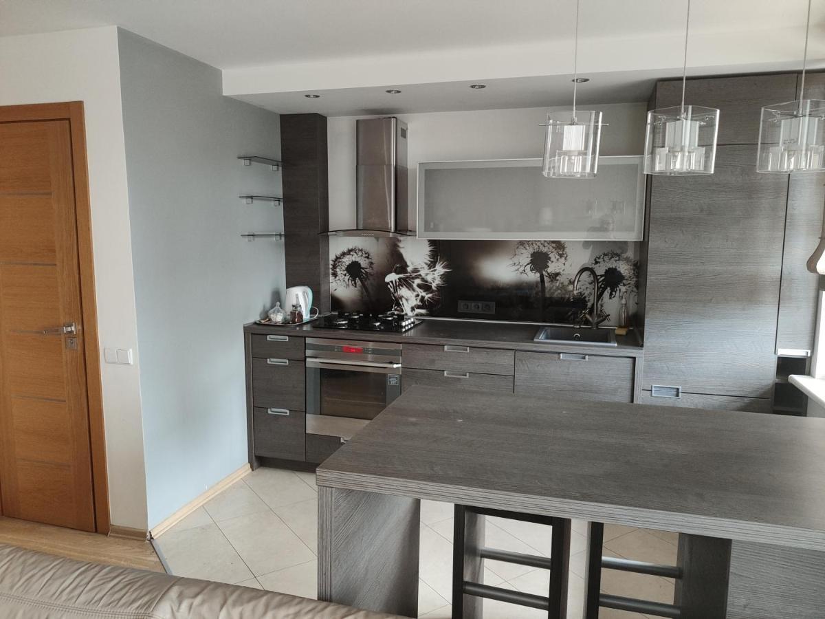 Nikoletos Apartamentai Panevėžys المظهر الخارجي الصورة